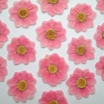 押し花＜組み立て・ピンク4枚＞