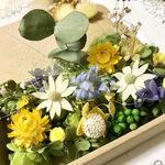 グリーンイエローフランネルフラワー＊ドライフラワー花材詰め合わせ