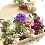 ピンクナッツ！ヘリクリサムと千日紅＊ドライフラワー花材詰め合わせ