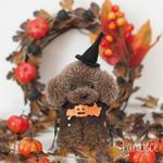 【受注製作】毛糸ぽんぽん トイプードルのハロウィンドール(♂)
