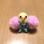 チアダン♡応援セキセイインコちゃん（ペパーミントグリーン）