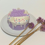 cake  candle ♥ センイルケーキキャンドル