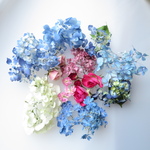 ドライフラワー８種類の紫陽花とバラの組み合わせセット。レジンアクセサー、ハーバリウム、キャンドルにもリー、