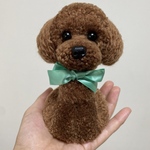 動物ぽんぽん　トイプードル   ブラウン（鼻ボタンタイプ）