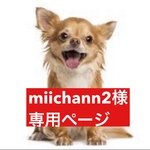 専用ページ