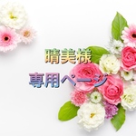 晴美様専用ページ