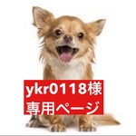専用ページ