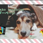 konomi34さま専用ページです🎵