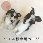 【シエル様専用ページ】オーストラリアンシェパードとシェルティの仲良し2匹♪