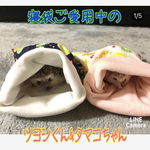 ⭐️夏休みSALE 1300→1000円！リップルとスムースニットの寝袋（フルーツ柄🍓🍊🥝）