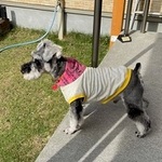 のい君専用ページ