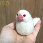 【受注制作】白文鳥さん