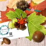 1点物 ✨秋の紅葉ブローチ ✩もみじ ✩イチョウ ✩どんぐり ✩紅葉 ✩秋