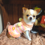 【マフラー付き】オレンジパウンドケーキ