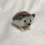 羊毛フェルト　ハリネズミ　顔薄茶　ヒゲ付き②