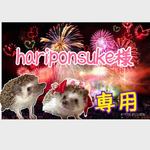 こちらは、hariponsuke様専用です