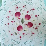押し花素材227　ルビー色の小花のセット