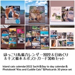 島猫カレンダー2022＆日めくり＆キス猫サイン本＆ポストカード30枚セット