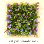 ウォールグリーン 36cm×36cm ラベンダー畑 ※光触媒加工※