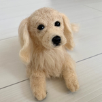 羊毛フェルト犬　クリーム　ダックス　ダックスフンド