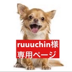 専用ページ