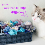 《assuran1013様専用ページ》