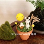 himawaripase様専用