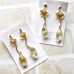 *.ﾟ くねくね ドライフラワー ピアス イヤリング (White) *. ﾟ