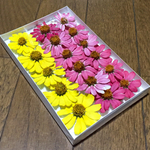 d⑥ macoronが作った大人可愛い夏色ジニアのドライフラワー