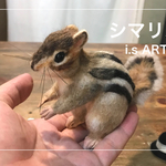 オサレシマリス♡