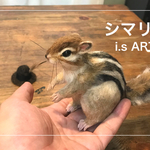 オサレシマリスB♡