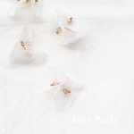 6pcs シフォンフラワー タッセル ホワイト