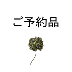 【sakura6様ご予約品 】▼ちょうちょ＆発熱ニットのねじりスヌード▼
