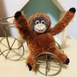 オランウータン 動物ぽんぽん
