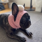 ポンポン付き　耳穴あきニット帽ピンク　フレブル用