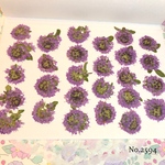 ♡new♡作家様必見♡タイムの押し花♡