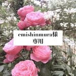 emishinmura様 専用ページ