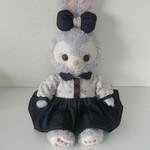 ちゃーちゃん様オーダー品♪お花のワンピ＆リボン♪ステラルー♫