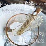 ✶無限の発展✶蛇の皮殻クリップ✶Ancient Dragon's Scale long clip