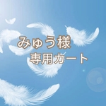 👼 ange様 専用カート 👼