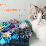 《Coco様専用ページ》寅の頭飾り