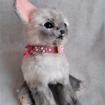 シャム猫のぬいぐるみ