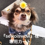 『seikoswow』様専用カート