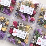ドライフラワー  詰め合わせ　小分けセット