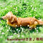 kaorialemilさま♪専用