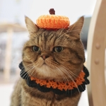 【再】ハロウィンカラーのつけ襟