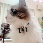 ［ 猫の首輪 ]ゴスロリ　リボン　ナチュラル