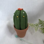 サボテンピンクッション