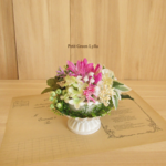 Petit Green Arrange 489