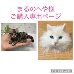 まるのへや様   ご注文専用ページ